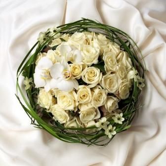 Rund, vakker og hvit